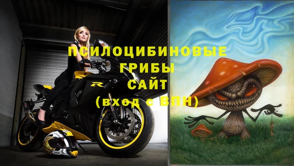 прущие крисы Беломорск