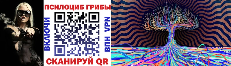 ОМГ ОМГ ТОР  Соль-Илецк  Галлюциногенные грибы Cubensis 